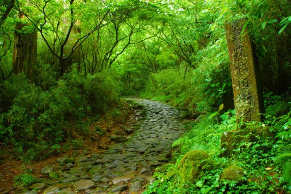 Hakone Kodo - Historical Trail