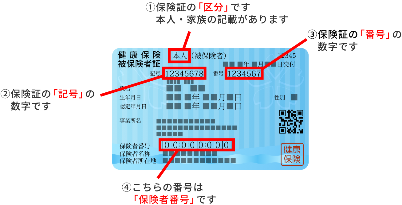 保険証の見本