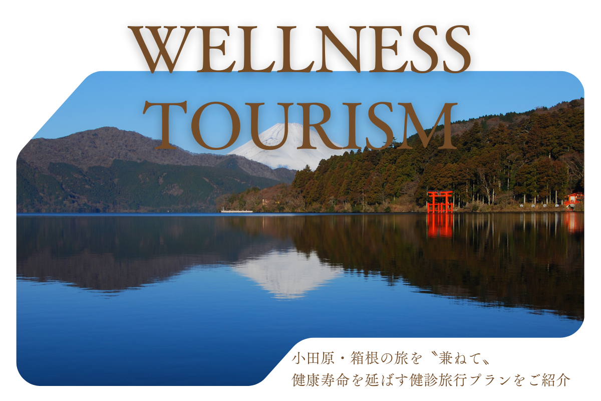 WELLNESS TOURISM
